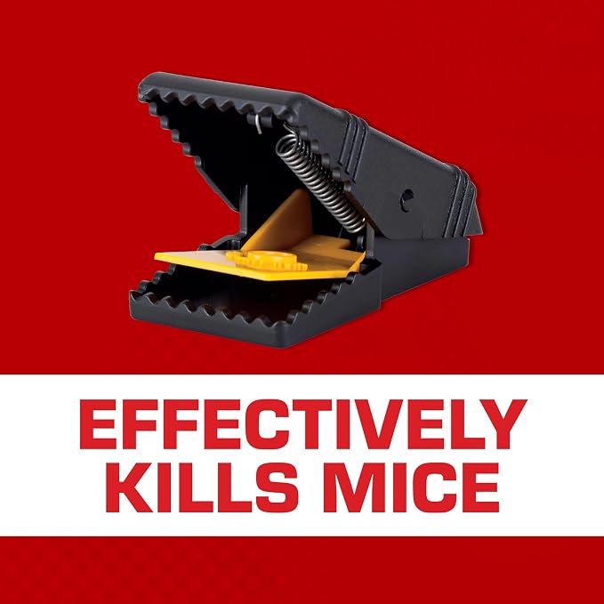 Tomcat Mouse Snap Trap, 4 Traps | Reusable Mouse Trap with No-Touch Disposal, Easy Set for Indoor and Outdoor Use, 2 Packages Each with 2 Traps - Image 3
