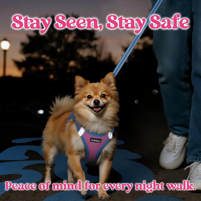 rabbitgoo Dog Harness Small Sized and Leash Set, Step in Soft Vest | Breathable Mesh, Easy Wear with Hook & Loop, Light and Reflective for Walking, Multi-colored, Pink & Blue, S - Image 5