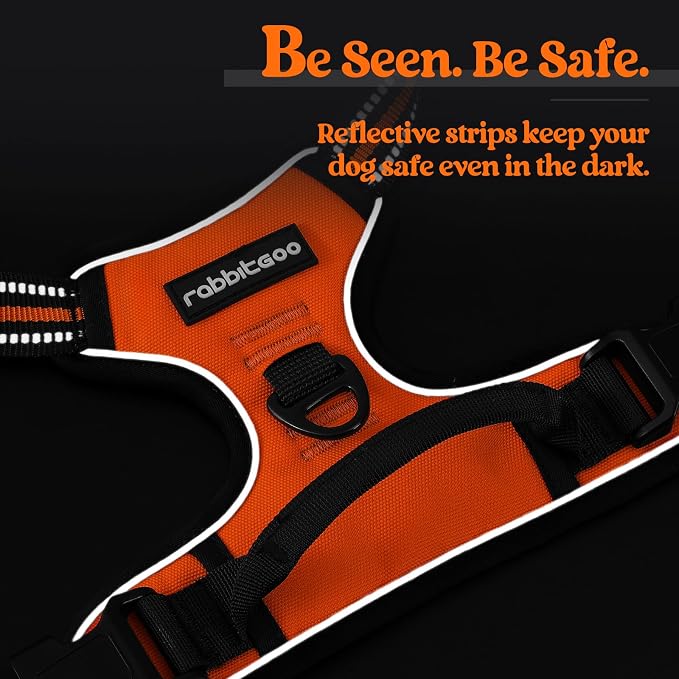 rabbitgoo Dog Harness, No Pull for Small Dogs with 2 Leash Clips, Pet Vest | No Choke with Handle, Adjustable Soft Padded, Reflective, Easy Control for Walking, Orange, Small - Image 7