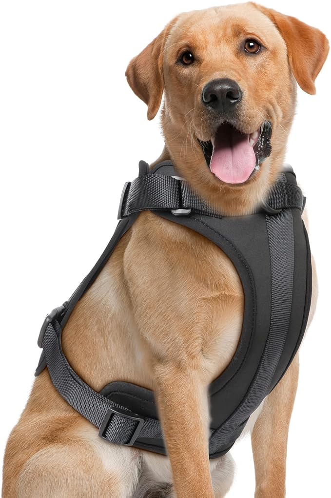 Wisedog Lightweight No Pull Dog Harness, Black, Large | Air Mesh, 3 Clips, Adjustable, No Choke Design, Ideal for Walking Training by WisedogPetSupplies