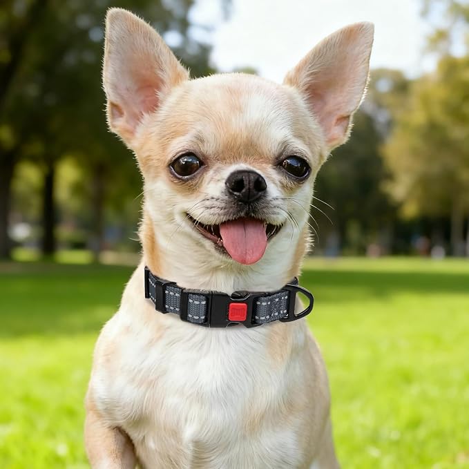 Taglory Reflective Dog Collar for Puppies, Gentle and Safe for Night Walks | Night-Walk Visibility, Soft Neck Cushioning, Adjustable 8-12 in, Locking Buckle, D-Ring for Leash and ID Tags - Image 2