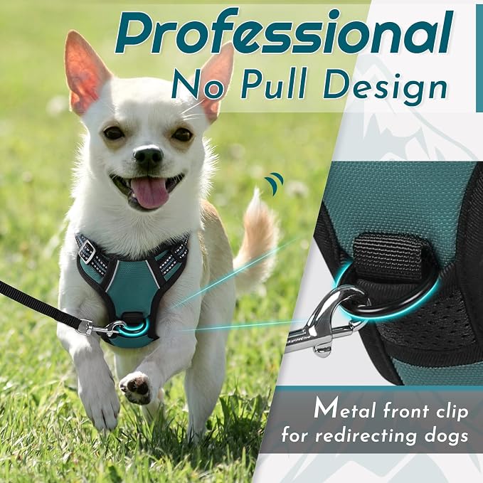 Eagloo Dog Harness for Small Dogs, No Pull Pet Vest with 2 Leash Clips | No Choke with Handle, Adjustable Comfort Fit, Reflective Strips, Easy Walking Control, Dark Green, X-Small - Image 3