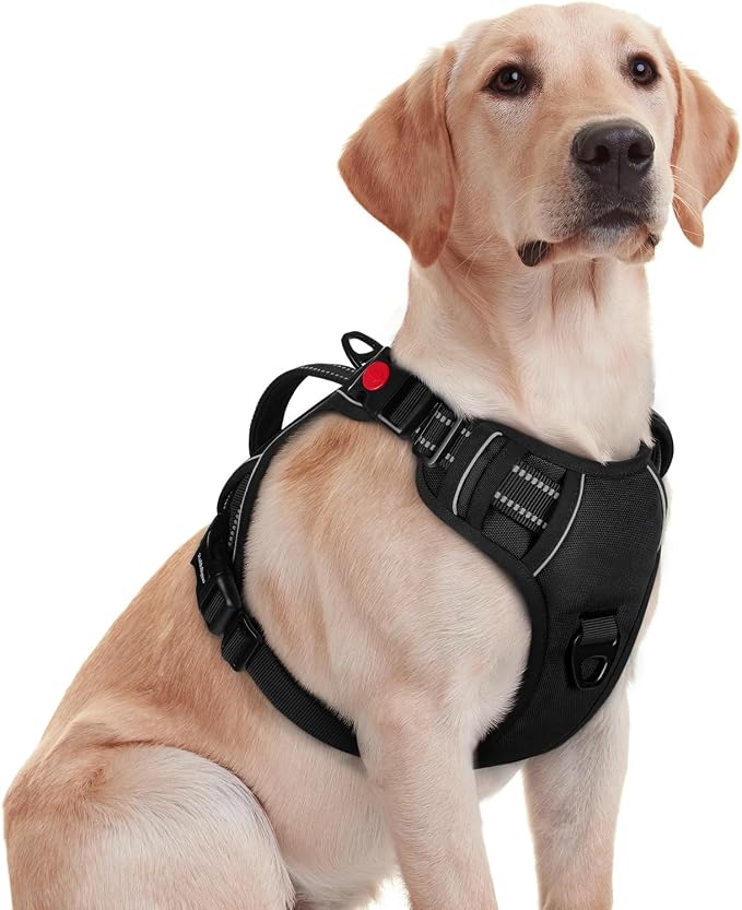 rabbitgoo Large Dog Harness, Easy Wear with 3 Buckles and Lift Handle | No Pull with Front Clip for Walking, Adjustable Soft Padded, Reflective, Easy Control, Black, Medium by rabbitgoo