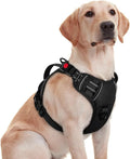 rabbitgoo Large Dog Harness, Easy Wear with 3 Buckles and Lift Handle | No Pull with Front Clip for Walking, Adjustable Soft Padded, Reflective, Easy Control, Black, Medium by rabbitgoo
