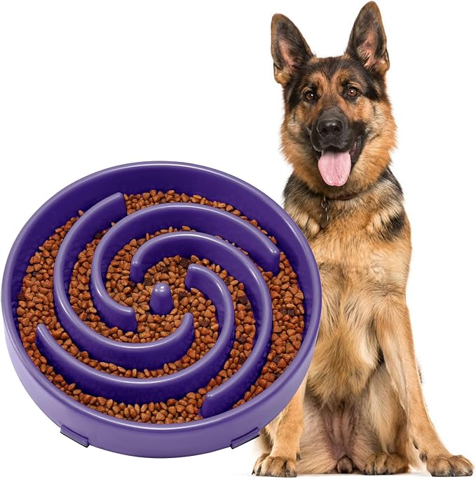 JASGOOD Slow Feeder Bowl for Large Dogs, Anti-Gulping Pet Bowl, Prevents Bloat & Choking by JASGOOD