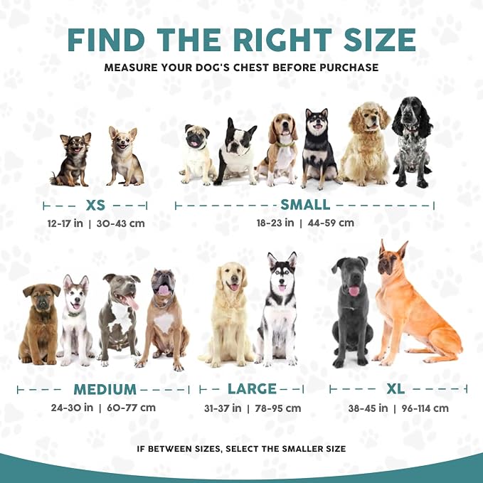 Embark No Pull Dog Harness, Reflective Adjustable Training Vest, No Choke | Adjustable straps fit all dog breeds with sturdy hooks; 360° reflective trim, soft padded Harness Design for All Dogs - Image 3