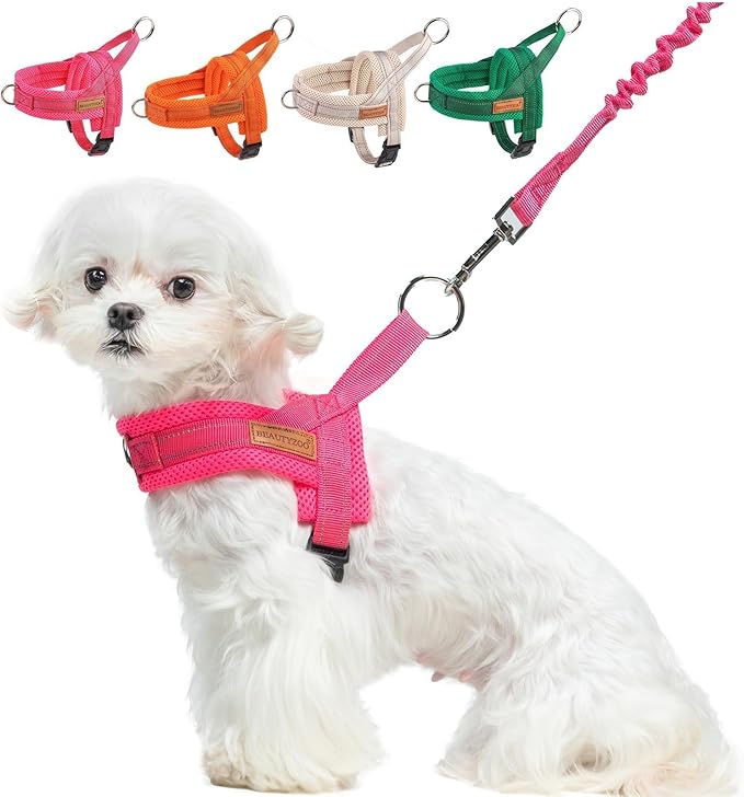 BEAUTYZOO Small Dog Harness and Leash Set, No Pull Step in Puppy Vest | Breathable Mesh with Handle, Reflective, Adjustable No Choke Escape Proof, Lightweight, Easy Control for Walking, Pink S by BEAUTYZOO