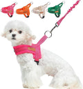 BEAUTYZOO Small Dog Harness and Leash Set, No Pull Step in Puppy Vest | Breathable Mesh with Handle, Reflective, Adjustable No Choke Escape Proof, Lightweight, Easy Control for Walking, Pink S by BEAUTYZOO