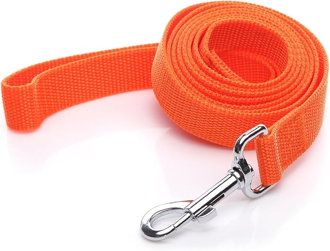 Nylon Dog Leash 4 Ft 5 Feet 6 Foot Long, Walking Training Dog Leashes for Medium Large Dogs, 1 Inch Wide(5ft, Orange) by SALO