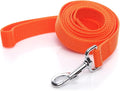 Nylon Dog Leash 4 Ft 5 Feet 6 Foot Long, Walking Training Dog Leashes for Medium Large Dogs, 1 Inch Wide(5ft, Orange) by SALO