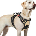 rabbitgoo Dog Harness for Large, Updated Easy On & Off with 3 Buckles | No Pull No Choke, Walking with 2 Clips and Handle, Adjustable Soft Reflective, Beige, Large by rabbitgoo