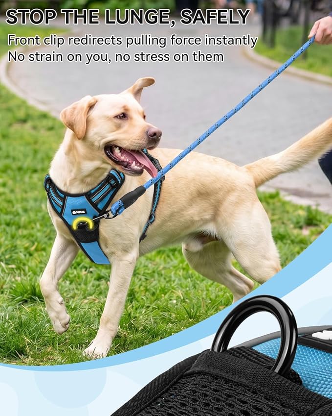 Joytale No Pull Dog Harness & Seat Belt, Easy On 3-Buckle, XL, Sky Blue | Front Clip Reduces Pulling, Escape-Resistant Design, Adjustable Fit, Soft Padding for Comfort, Secure Tether for Safer Travel - Image 4