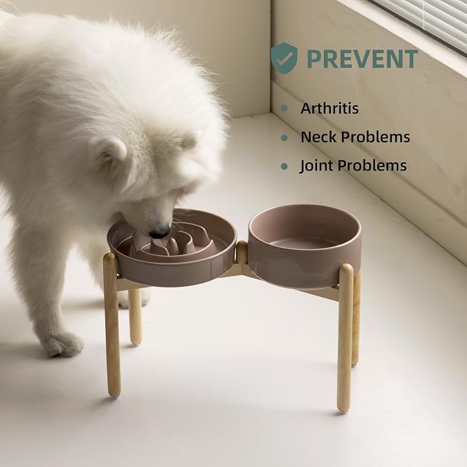 Havniva Elevated Slow Feeder Dog Bowls, Ceramic Dog Bowl Slow Feeder Set | 3.2 Cups Raised Slow Feeder Dog Bowl for Large Breed, 8.2” Dog Water Bowl with Wooden Stand, Puzzle Dog Food Bowl, Non-slip - Image 6