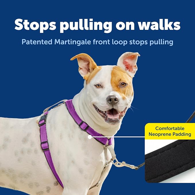 PetSafe Easy Walk 3 in 1 No Pull Dog Harness, Plum, Medium | Rests on Chest Not Throat to Reduce Pulling, 5 Adjustment Points, Car Restraint Seatbelt Loop, Reflective Nylon for Low Light - Image 3