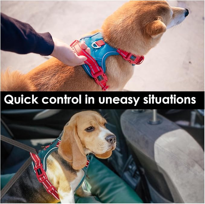 No Pull Dog Harness, Unique Colors Reflective Adjustable Dog Vest | with Soft Training Handle Metal Clips for Small Medium Large Dogs (Teal Base & Red Straps,L) - Image 4