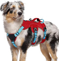 rabbitgoo Escape Proof Dog Harness for Medium, No Pull with Lift Handle | No Escape, Full Soft Padded, Reflective Adjustable Vest, Leash Clip for Walking Hiking Training, Sky Blue & Red, Medium by rabbitgoo