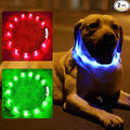 Light Up Dog Collar, Rechargeable Glowing Dog Collar, Light Dog Collar for Night Walking with 1640 FT of Visibility - Brightest LED Dog Collar Light, 3 Flashing Modes, Keeps Your Pets Safe in The Dark by Fashion%26cool