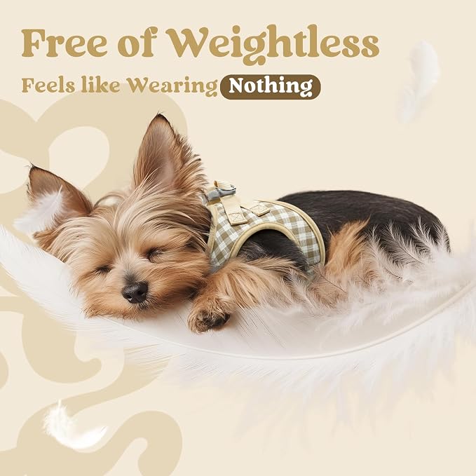 rabbitgoo Step-in Small Dog Harness, Puppy Vest for Small Sized Pet | Easy Put on and off, Lightweight, Soft, Breathable Quick-Dry Air Mesh for Comfortable Secure Walking, Beige Check XS - Image 5