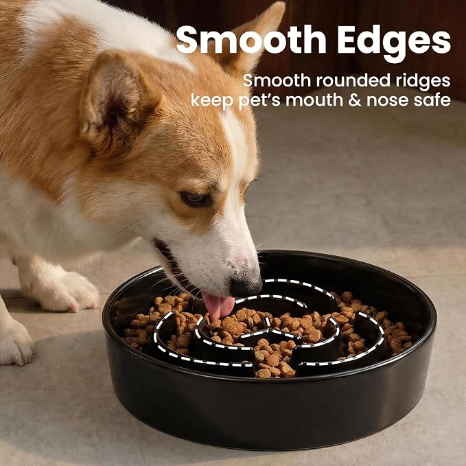 Ceramic Slow Feeder Dog Bowls 0.6 Cups for Small Fast Eaters,White | Reduces Bloating,6.02x1.38 Inch Dish For Daily Dog Meals, Maze Puzzle Slows Down Eating, Anti-Choking,9.0oz Water - Image 5