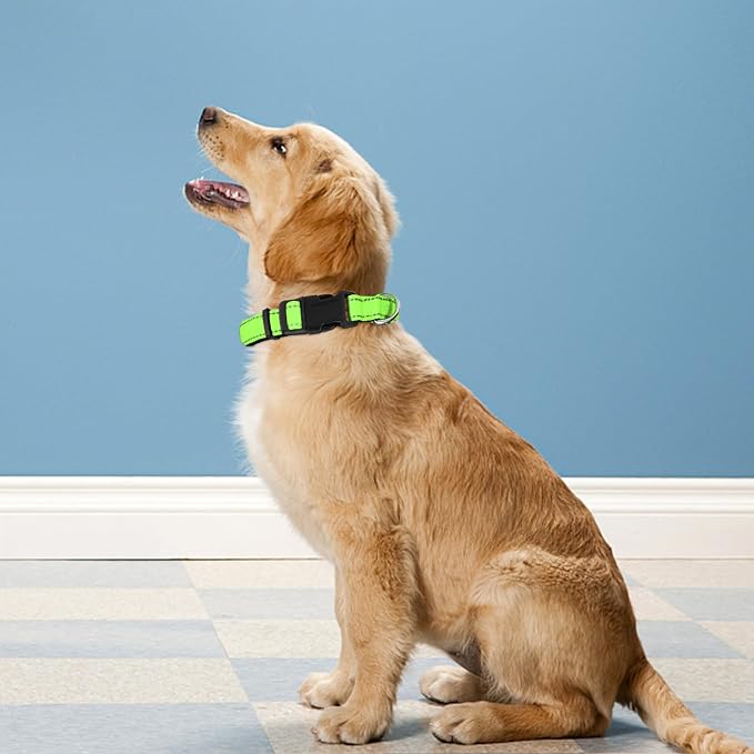 Reflective Dog Collar, Adjustable Soft Neoprene Padded,Green,XL | Breathable Nylon for Extra Large Dogs,Tear-Resistant Webbing,Chafe‑Free on Walks and Hikes,Metal D-Ring,Night Safety - Image 2