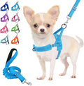 Lukovee Small Dog Harness and Leash Set, No Pull Soft Padded Vest | Both Neck & Chest Adjustable, Reflective, Puppy Harness with 4ft Lightweight Anti-Twist Dog Leash for Small Dogs (LBL, S) by Lukovee