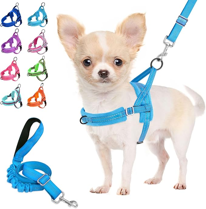 Lukovee Small Dog Harness and Leash Set, No Pull Soft Padded Vest | Both Neck & Chest Adjustable, Reflective, Puppy Harness with 4ft Lightweight Anti-Twist Dog Leash for Small Dogs (LBL, XS) by Lukovee