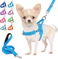 Lukovee Small Dog Harness and Leash Set, No Pull Soft Padded Vest | Both Neck & Chest Adjustable, Reflective, Puppy Harness with 4ft Lightweight Anti-Twist Dog Leash for Small Dogs (LBL, XS) by Lukovee