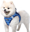 rabbitgoo Step-in Small Dog Harness, Puppy Vest for Small Sized Pet | Easy Put on and off, Lightweight, Soft, Breathable Quick-Dry Air Mesh for Comfortable Secure Walking, Blue Zigzag S by rabbitgoo