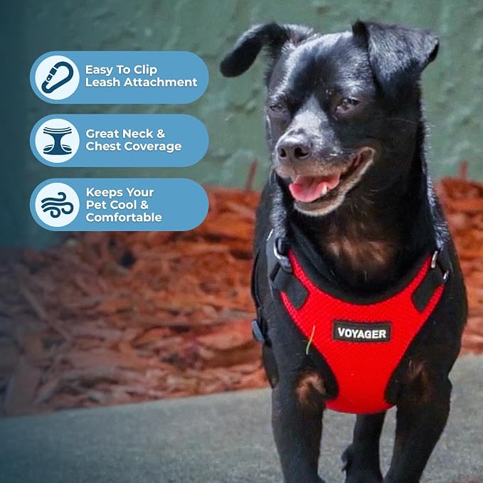 Voyager Step-in Lock Dog Harness - Red/Black Trim, X-Large | 23 - 28" in Chest, Adjustable, Breathable Air Mesh, Lightweight for Daily Walks, Strong Clips, Heavy Duty D-Ring - Image 3
