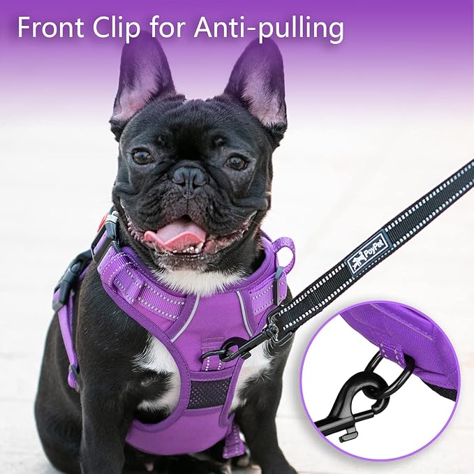 PoyPet No Pull Dog Harness, Reflective Vest with 2 Leash Clips & Handle | Lockable Neck Release Buckle, No Choke, Adjustable, Soft Padded, for Walking Training, Purple Matching Trim, Large - Image 3