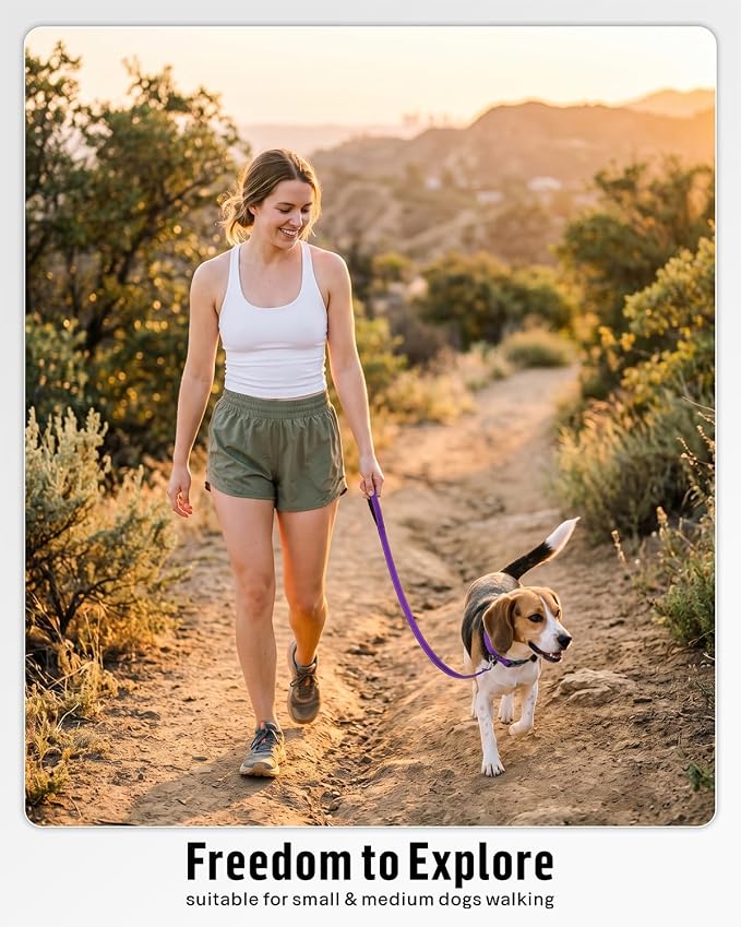 FunTags Reflective Nylon Dog Leash for Small & Medium Dogs, 6FT for Walks | Comfortable Padded Grip, Stay Safe at Night, 360° Anti-Tangle Swivel, for Dog Parks & Trails, Purple - Image 5