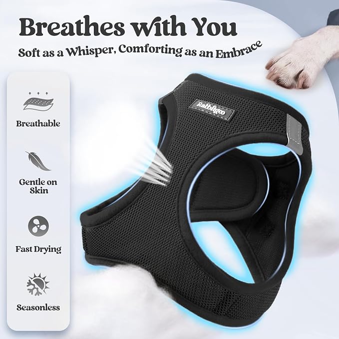 rabbitgoo Dog Harness Small Sized and Leash Set, Step-in Puppy Pet Vest | Light, Soft, Breathable Air Mesh, Easy on and Remove with Hook & Loop, Secure Reflective for Walking, Black M - Image 4