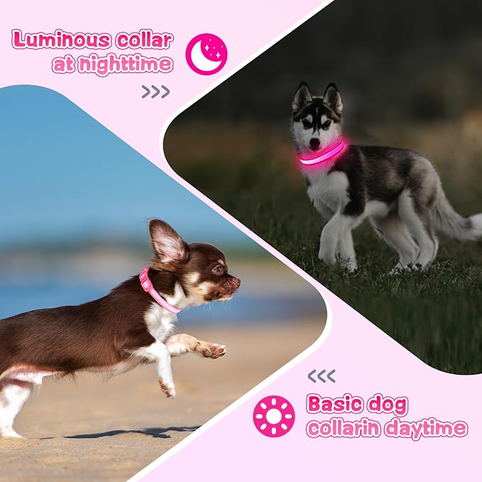LED Light Up Dog Collar for Night Safety Walks, Pink, S | USB rechargeable, waterproof & pet-safe, 3 lighting modes, long-lasting glow, adjustable S/M/L, soft comfy daily walk fit - Image 4