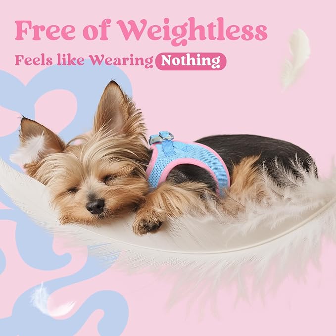rabbitgoo Step-in Small Dog Harness, Puppy Vest for Medium Sized Pet | Easy Put on and off, Lightweight, Soft, Breathable Quick-Dry Air Mesh for Comfortable Secure Walking, Blue & Light Pink XXL - Image 5