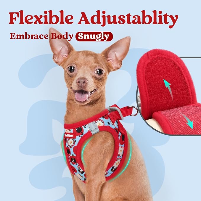 rabbitgoo Step-in Small Dog Harness, Puppy Vest for Small Sized Pet | Easy Put on and off, Lightweight, Soft, Breathable Quick-Dry Air Mesh for Comfortable Secure Walking, Apple Pups XXS - Image 6