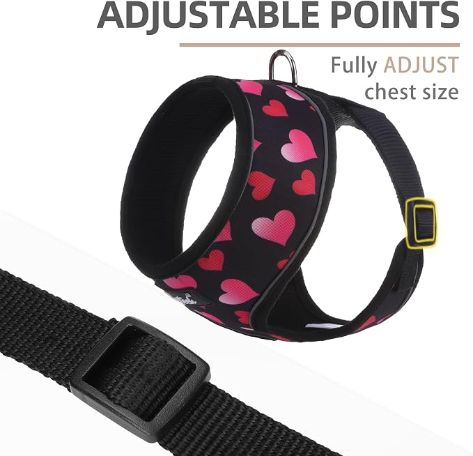 PUPTECK Small Dog Harness and Leash Set No Pull for XS XXS Sized Dogs Puppy | Escape Proof No Choke Pet Cat Adjustable Soft Padded Walking Vest - Image 3