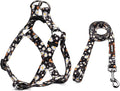 Dog Harness Leash Set Adjustable Heavy Duty No Pull Halter Harnesses for Small Medium Large Breed Dogs Back Clip Anti-Twist Perfect for Walking (M(19"-26" Chest Girth), White Daisy) by QQPETS