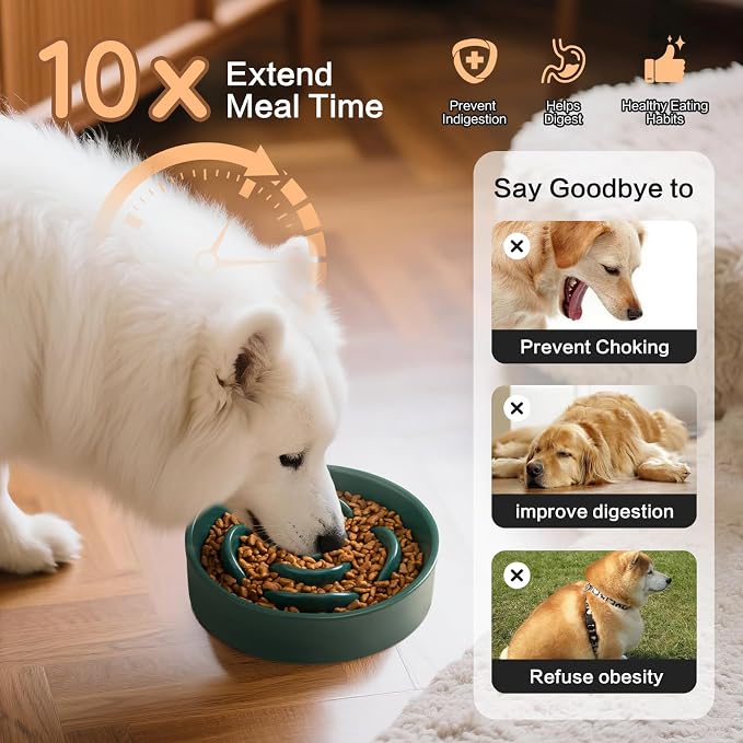6'' Ceramic Slow Feeder Dog Bowls - Petal Shape Modern Dog Food Dish for Cats and Small Breed Dogs, Puzzle Maze Bowl to Slow Down Eating, Anti-Gulping, Dishwasher & Microwave Safe, Green - Image 4