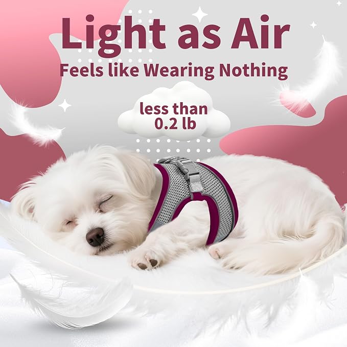 AIITLE Dog Harness and Leash Set, Step-in Puppy Pet Vest, Burgundy M | Breathable Mesh, Adjustable Fit, Reflective Design, Padded Leash Handle, for Small-Medium Dogs & Cats, Walking, Training - Image 10