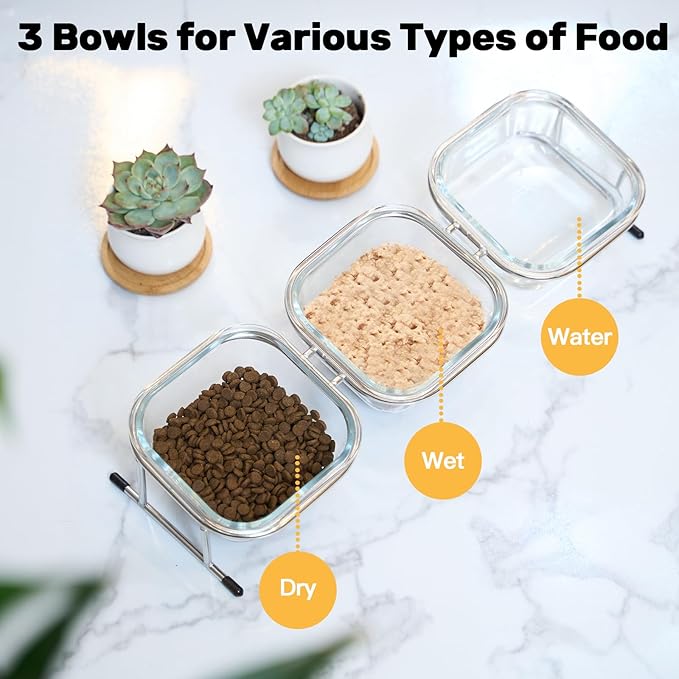 Elevated Cat Bowls, 15° Tilted Glass Raised Cat Food and Water Bowl | Stainless Steel Stand, 3 Large Capacity Glass Cat Bowls and 4 Anti Slip Feet, Suitable for Cats and Little Dogs - Image 3