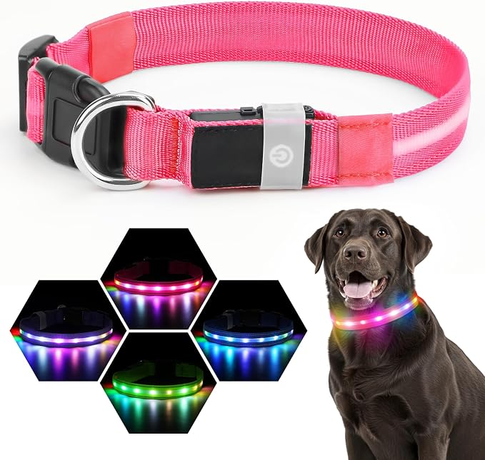 LED Dog Collar, RGB Light Up Dog Collar USB Rechargeable 6 Modes | Waterproof Light Up Dog Collar with Soft Nylon Comfort, Adjustable Fit for Small Medium Large Dogs Candy Pink M - Image 2