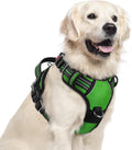 rabbitgoo Dog Harness for Large, No Pull 3 Buckles Easy On & Off | Soft Padded, Walking with Control Handle, Adjustable and Reflective, Green, X-Large by rabbitgoo
