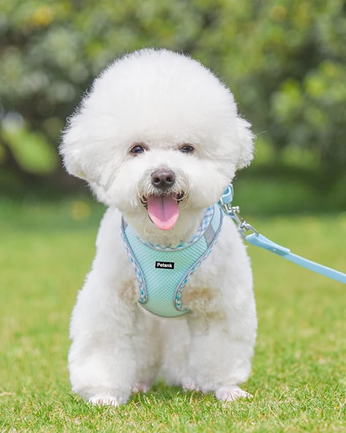 Petank Dog Harness for Small Medium Dogs No Pull, Puppy Harness and Leash Set, Step in Dog Harness for Walking, Running, Training, Small Dog Vest(Light Blue, XS) - Image 2