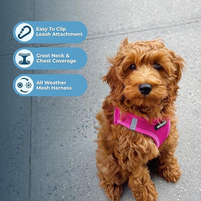 Best Pet Supplies Voyager Step-in Air All Weather Mesh Harness and Reflective Dog 5ft Leash Combo with Neoprene Handle, for Small, Medium and Large Breed Puppies - Fuchsia, Small - Image 5