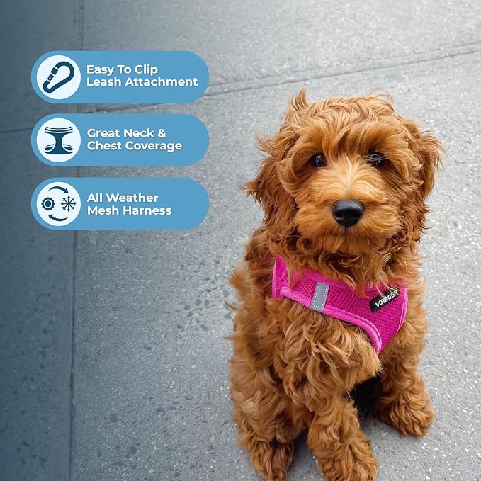 Best Pet Supplies Voyager Step-in Air All Weather Mesh Harness and Reflective Dog 5ft Leash Combo with Neoprene Handle, for Small, Medium and Large Breed Puppies - Fuchsia, Large - Image 6