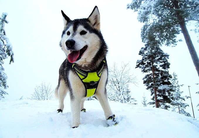 TRUE LOVE Adjustable No-Pull Dog Harness Reflective Vest, Neon Yellow, XS | Front Clip, No-Choke, Soft Padded, Control Handle, Anti Escape, Dog Car Harness, Walking and Training, Escape Proof, TLH5651 - Image 6