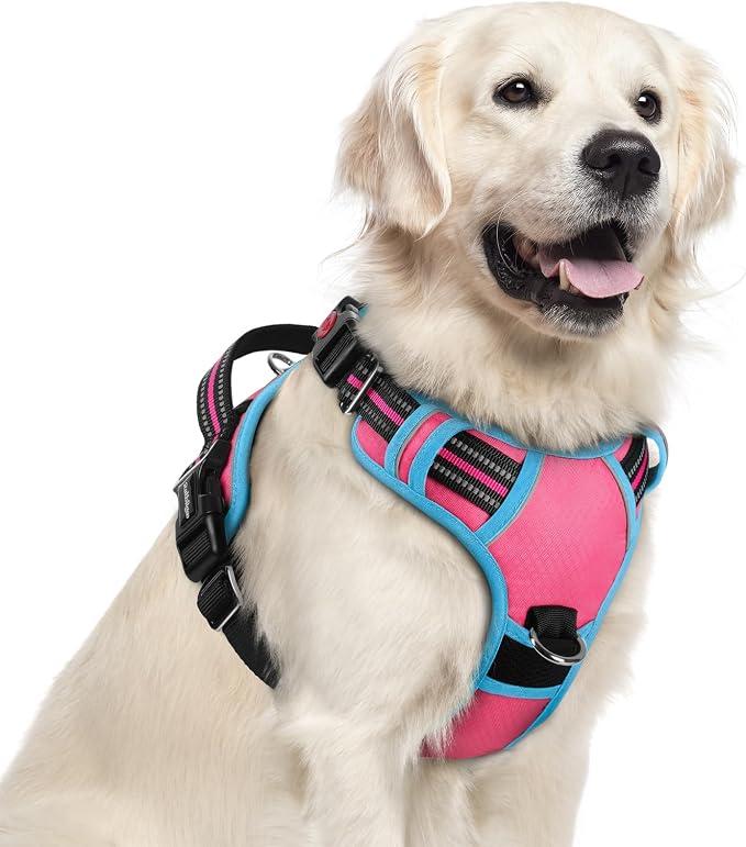 rabbitgoo Dog Harness for Large, No Pull 3 Buckles Easy On & Off | Soft Padded, Walking with Control Handle, Adjustable and Reflective, Pink & Blue, X-Large by rabbitgoo