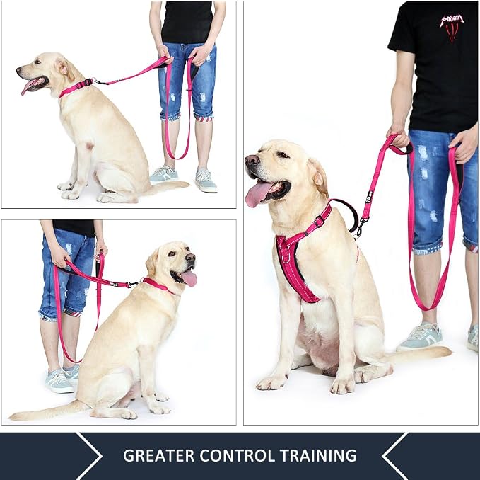 Plutus Pet Double Handle Dog Leash, 5 FT Long, for Medium Large Dogs | Reflective Nylon, Soft Padded 2 Handles, Heavy Duty for Training, Dual Handle Lead, 5 FT x 1”, Pink - Image 3