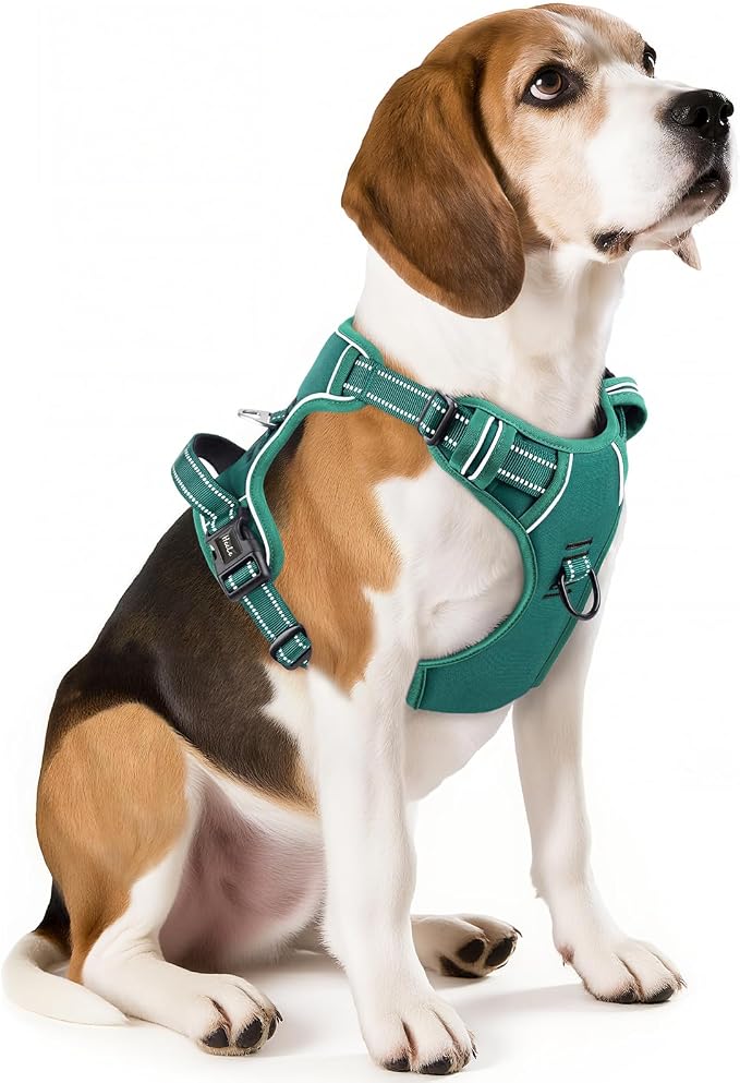 HEELE Dog Harness for Medium Dogs No Pull Dog Vest Harness with Soft Padded Handle Reflective for Outdoor Training, Grass Green, M | Front Clip for Medium Dog Harness, 2 Metal Rings with Handle, Adjustable, Soft Breathable Padded Pet Vest for Night Wal... by HEELE