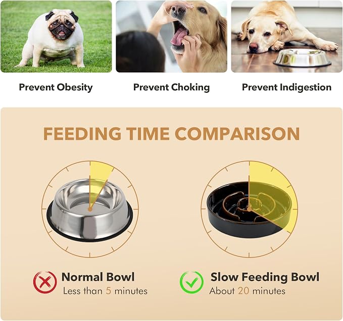 Havniva Raised Slow Feeder Dog Bowls, Elevated Dog Bowls Slow Feeder Set | 3.2 Cups Ceramic Dog Bowl Elevated with Acacia Wood Stand, Raised Dog Food Bowl, Puzzle Slow Feeder for Large Dogs, Non-Slip - Image 6